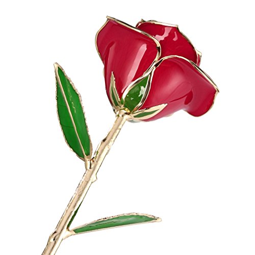 YKS Rosa Bañada en Oro de 24 K, mejor regalo para Día de San Valentin (Rojo)