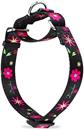 Martingale Collars for Dogs Durable D-ring Heavy Duty No Pull No Escape Dog Collar for Large/Medium Dogs By Dazzber (Small, Sun Flower)