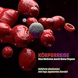 Körperreise - Eine Weltreise durch Deine Organe: Geführte Meditation mit Inga Jagadamba Stendel by 