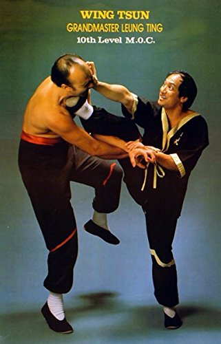Preisvergleich Produktbild The Close-Body Kick Poster