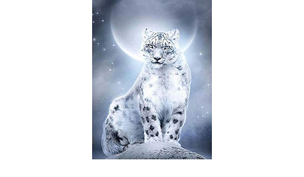 N A Diamond Painting Diy Set Schneeleopard Erwachsene Kinder 5d Diamant Malerei Kreuz Stich Fur Home Wall Decor 40x50cm Amazon De Kuche Haushalt Wohnen