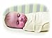 Summer Infant SwaddleMe Cotton Large Ivory