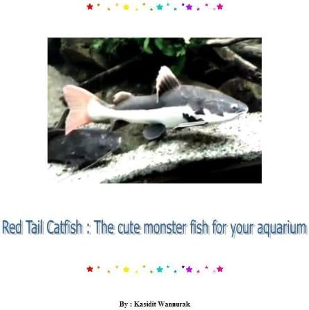 Red Tail Catfish : The cute monster fish for your aquarium