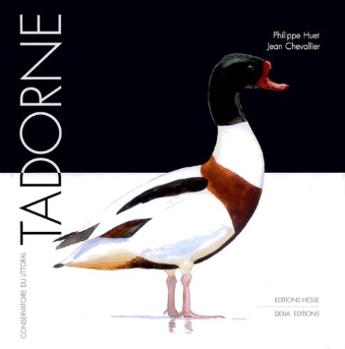 couverture de : Tadorne