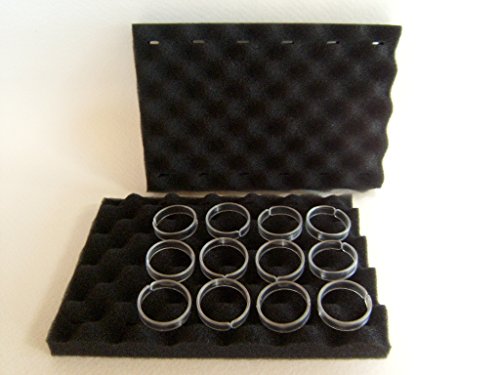 2 dinotec Schaumstoff-Noppen-Bürsten inkl. 12 Befestigungsclipse