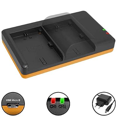 mtb more energy Double Chargeur (Secteur, USB) pour Canon LP-E6(N) / EOS 5D Mark II, III, IV / 5D(S) R, 6D, 7D II, 60D(a), 70D, 80D... v. liste | Bloc d'alimentation 2 ampère (2A) inclus