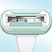Gillette Venus Embrace Blades