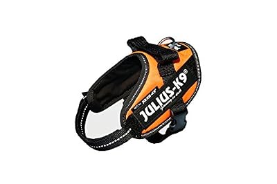 Julius-K9 IDC-Power Lumino Harnais pour Chien Orange Fluo Taille Mini-Mini