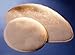 Lanacare Nursing Pads Softline Style, Medium