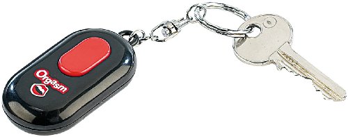 Preisvergleich Produktbild infactory Party-Gags: Stöhnender Schlüssel-Anhänger (Spaßartikel für Partys)