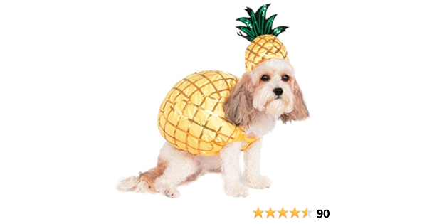 pineapple cat costume