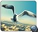 Produktbild Jonathan Livingston Seagull Möwen Personalisierte rechteckige Mousepad, Druck - Skid - Komfort Maßgeschneiderte Computer - Maus - Pads Mousepad - Mousepad