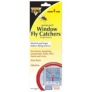 Window Fly Trap