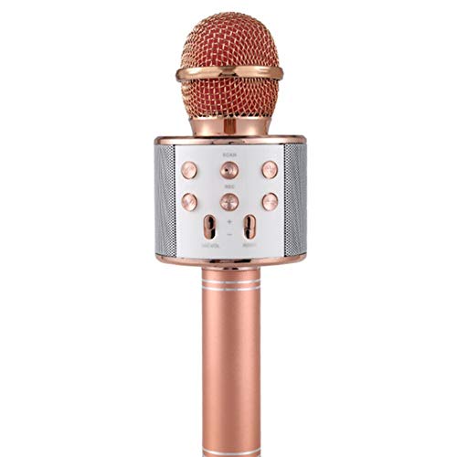 Preisvergleich Produktbild HermosaUKnight Kabelloses Karaoke-Mikrofon Tragbares Mini-Mikrofon-Karaoke