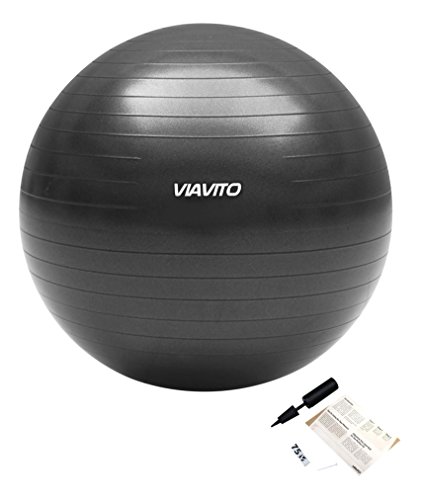 Viavito 500kg Balón de Ejercicio Anti-Pinchazos de 65cm, Color- Graphite