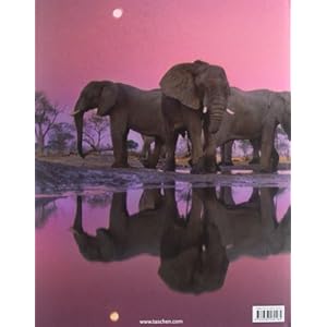 FO-LANTING, OKAVANGO -ESPAGNOL