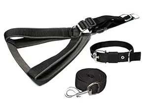 YOUNIQUE MERCHANDISE Premium Strong Nylon Everyday Dog Collar Leash Buckle Dog Harness Set Combo (Small, Black)