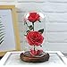 Produktbild AGGLD Schönheit Und Das Biest Rose Kit, Ewige Blumenglasabdeckung Künstliche Rose Dekoration Büro Home Dekorationen LED Nachtlichter
