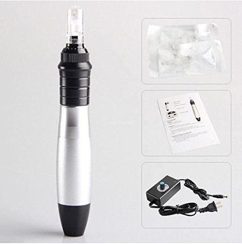 Denshine New Models Electric Auto Skin Care Derma Micro Needle Pen Adjustable 0.25mm to 2mm