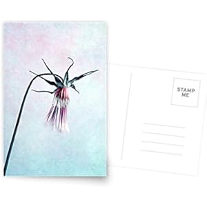 Design Fotokunst Postkarte