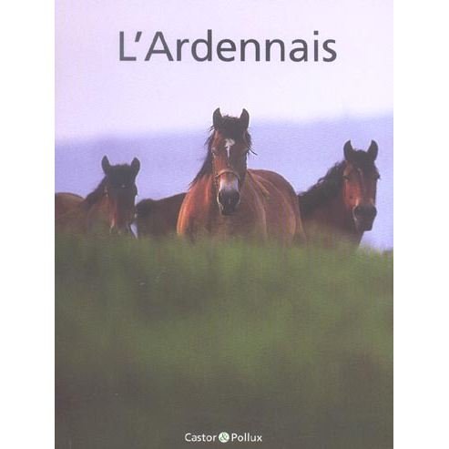 couverture de : Le cheval ardennais