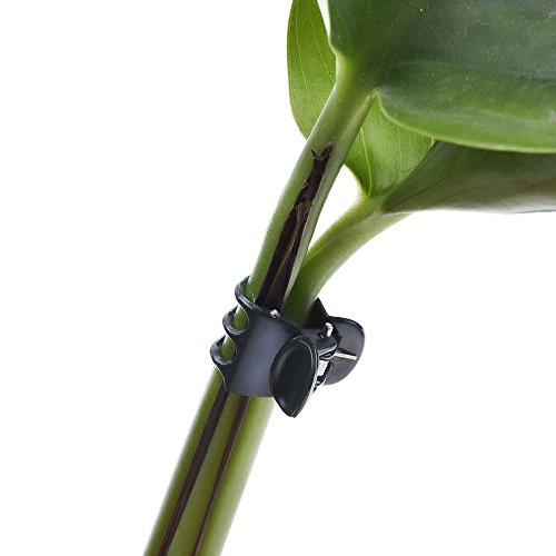 Outus 100 Pack Orchidee Clips Pflanze Orchidee Stützclips, Dunkelgrün - 2
