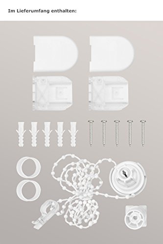 Lysel Rollo Grande S28, (B x H) 150cm x 175cm in rot/Berlin TR clay - 6