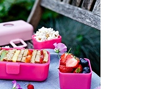Monbento Tresor Litchi – Das Bento für Kinder - 3