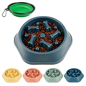 DPOEGTS Slow Feeder Dog Bowl, Puzzle Dog Food Bowl Anti-Gulping Interactive Dog Bowl and Water Dog Bowl for Small/Medium Sized Dogs (Blue, Bone)
