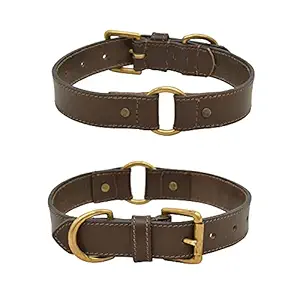 Cavaldii ITALIA Dog Collar Made Genuine Leather with Antique Metal Buckle and D Ring, Waterproof Dog Collar (Brown.)