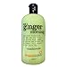 Produktbild Treacle Mond Ginger Bath & Shower Gel 500 ml