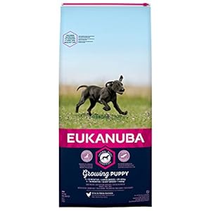 EUKANUBA Cachorro de Raza Grande en Crecimiento rico en pollo fresco [15 kg]