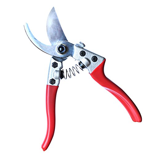 Professional Baumschere – Gartenschere mit lagerung halter tasche durch Belle Vous – Bypass Pruner Schere zum Schneiden von Hecken und Gras Schneiden – Garten Clippers, Baum Trimmer, Schneiden Astschere - 2