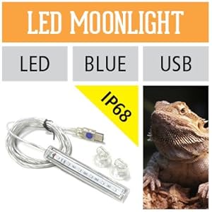 Ardacia A1EN01XXR Reptilien Mondlicht Lampe