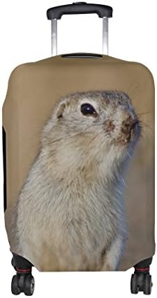 Aumimi Prairie Dog Luggage Cover Elastic Protector Fits M 23-26 in Suitcase