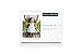Naty by Nature Babycare Disposable Bibs - 4 packs of 20 bibs (Total 80 bibs)