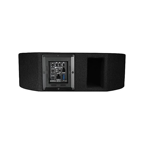 ESX Reseverad Aktiv-Subwoofer Q300A – Bild 3