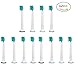 Produktbild U-Prime Ersatz Aufsteckbürsten,kompatibel mit Philips Sonicare ProResults Mini HX6024/31 Aufsteckbürsten Compact(für elektrische Zahnbürsten),12 Stück(3er Pack).