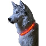 Auraglow Superhelles Leuchtendes LED Hundehalsband Hohe Sicherheit Blinkende Sicherheitsleine
