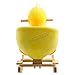 FoxHunter Animal Rocker Baby Kids Rocking Infant Toddler Child Children Toy Duck New