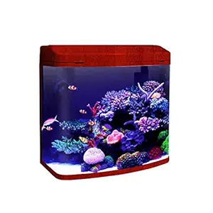 Jainsons Pet Products Minjiang Fish Aquarium Tank (HR3-380, Capacity-24L, Rosewood)