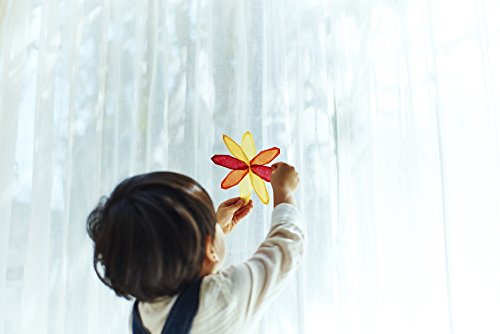 Folia 87409 – Transparentpapier A4 115 g 10 Blatt farbig sortiert - 3