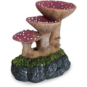 Lucky Reptile DW-MU Deco Wood Pilze