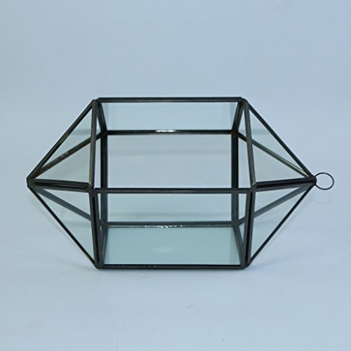 MagiDeal Modern 18-Seitig Hängeblumentopf Glas Geometric Blumentopf Blumen Pflanzen Vase Box Terrarium für Haus Wohnzimmer Garten Deko - 6