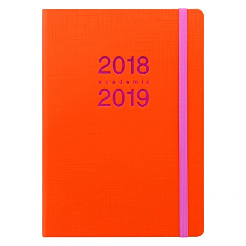 Télécharger Letts Memo Agenda scolaire A5 2018–2019 Orange 1 semaine sur 2 pages livre En ligne