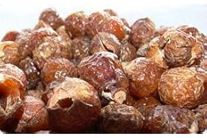 Indische Waschnüsse im 1kg Beutel BIOVA