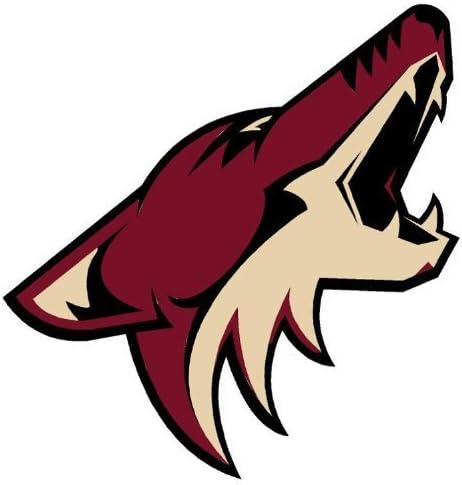 NHL Phoenix Coyotes Wallmarx Hockey Wall Accent Set by Trademarx Wallcoverings