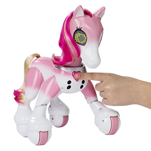 41Mg9BpaZaL Zoomer - 6036997 - Pony