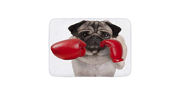 pug boxing gloves