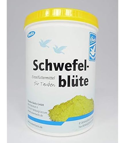 Pere Marve 40140 Aloe Vera Gel 100%, 1er Pack (1 x 250 ml) : Amazon.de:  Kosmetik